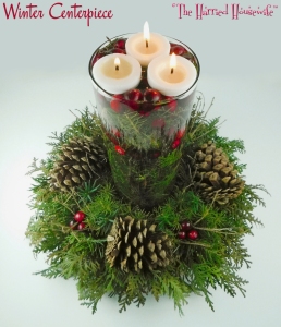 Winter Centerpiece (from Cooking, Baking, and Making)